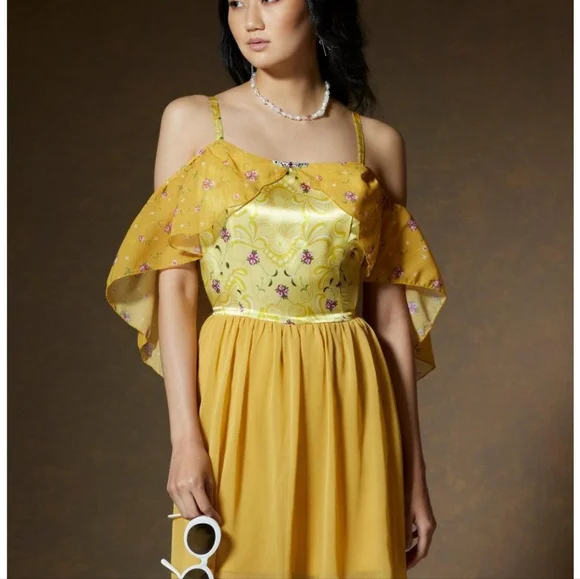 NWT RARE Her Universe Padme Meadow dress